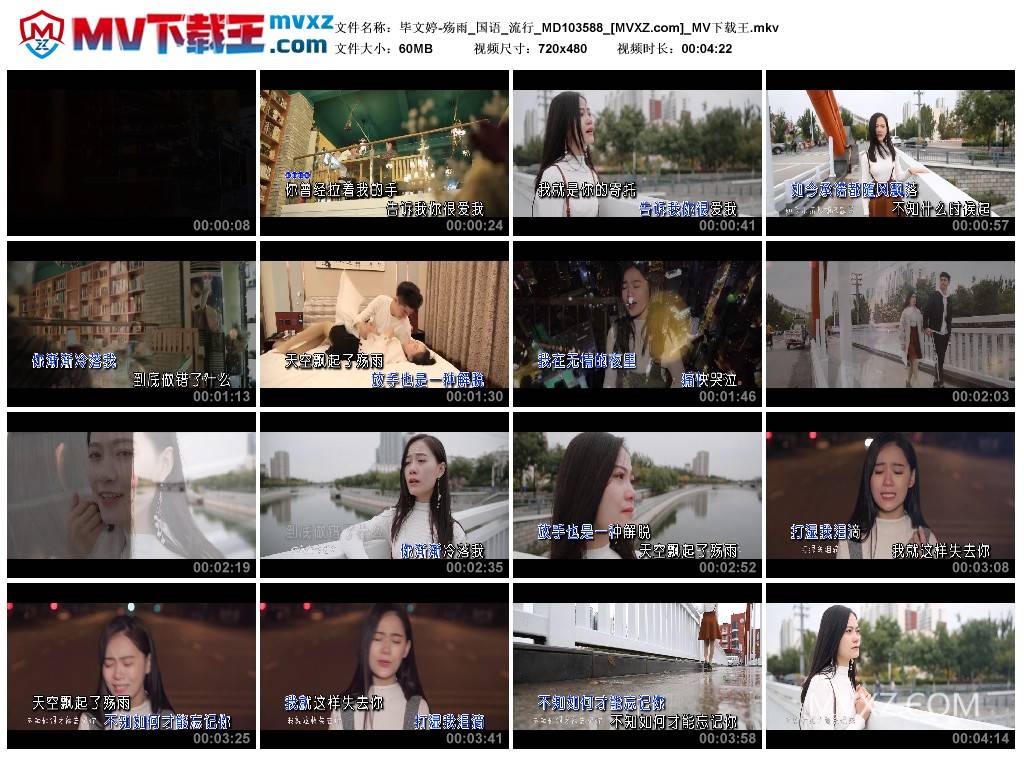 毕文婷-殇雨_国语_流行_MD103588